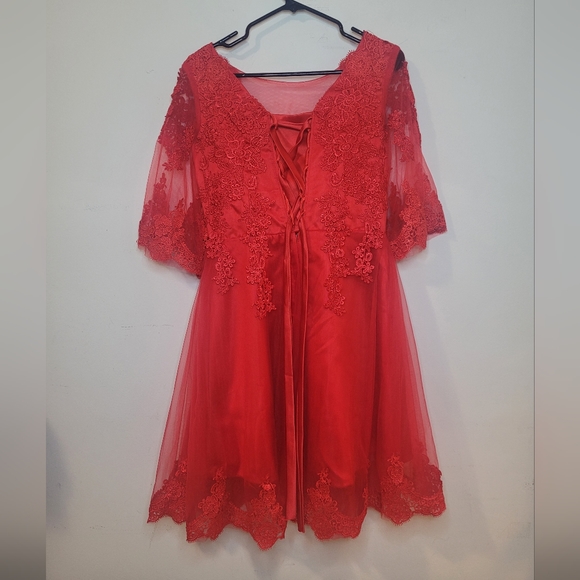 Lace Ball gown - Picture 3 of 3